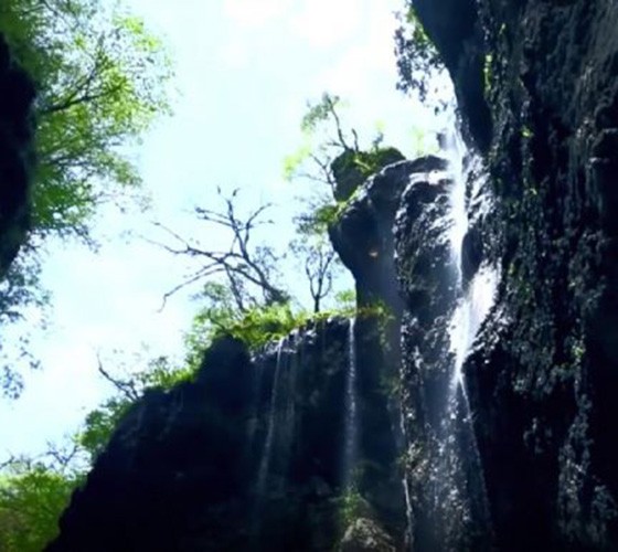 青山綠水，白龍江畔江畔息白鷺，兩岸綠橄欖入眼的都是純樸自然枝上花開(kāi)，春來(lái)水暖魚(yú)蝦戲水，鳥(niǎo)語(yǔ)花香心中充滿(mǎn)著舒暢之感祥宇生態(tài)產(chǎn)業(yè)園，位于隴南市武..